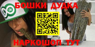 тгк Новокубанск