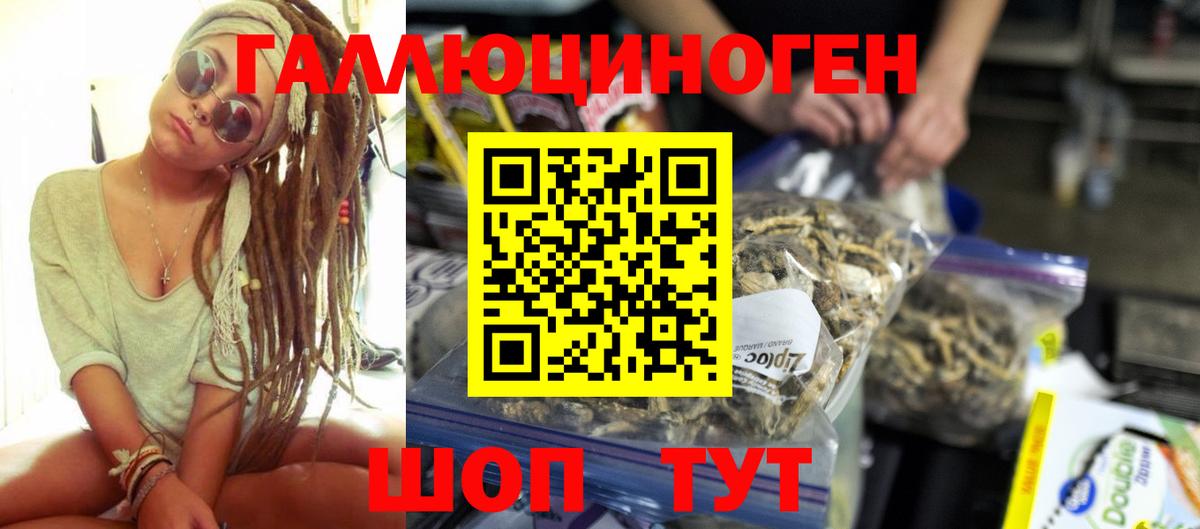 Галлюциногенные грибы Psilocybine cubensis  Вход с VPN  Ржев 